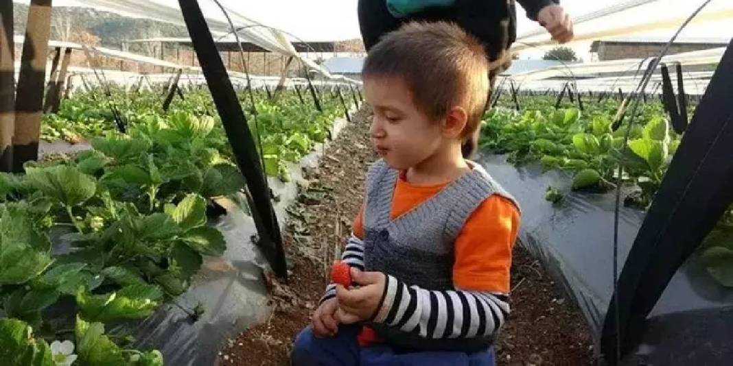 Eşini ikna etmesi hasattan daha zor olsa da başardı, işe koyuldu! Haftalık 300 kg üretiyor: Kilosu tarlada 80 TL ediyor 4